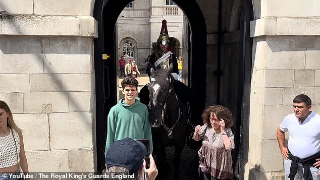 Туристка у Букингемского дворца стала жертвой лошади, но это не точно