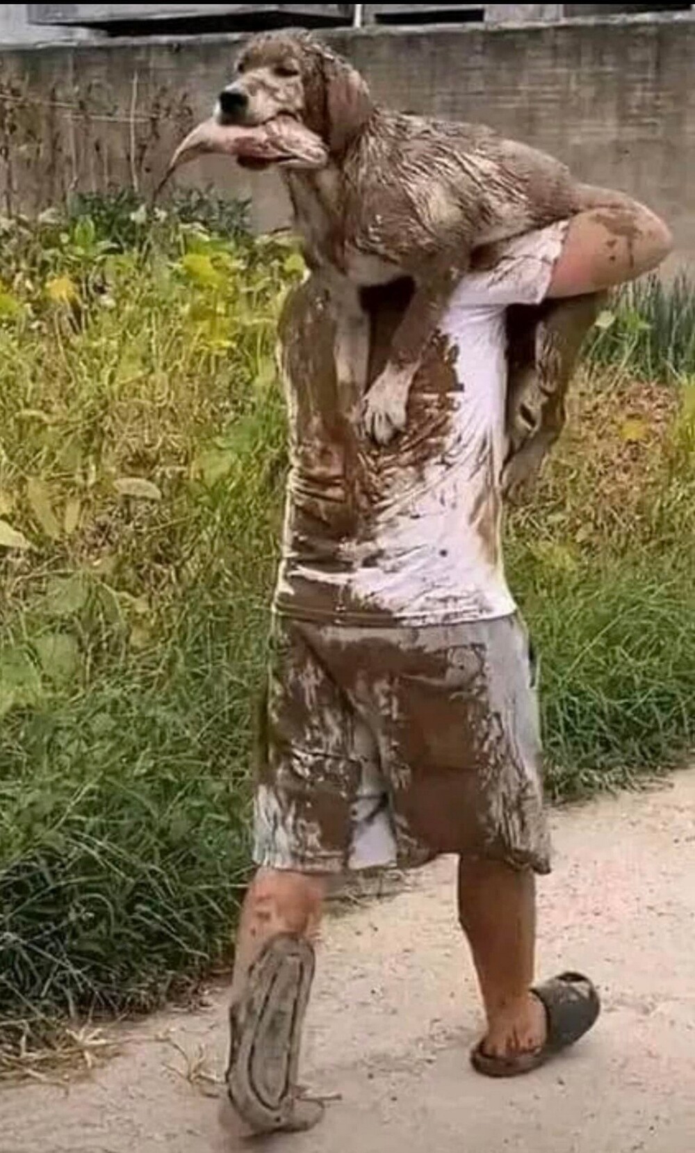 На общую тему 