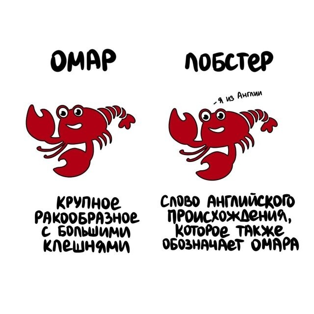 А вдруг ты не знал…