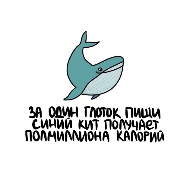 А вдруг ты не знал…