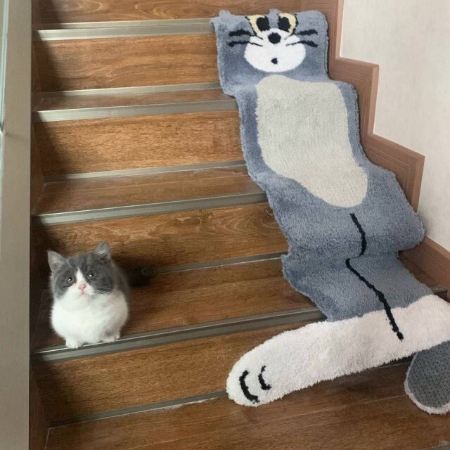 Скрины из соцсетей            