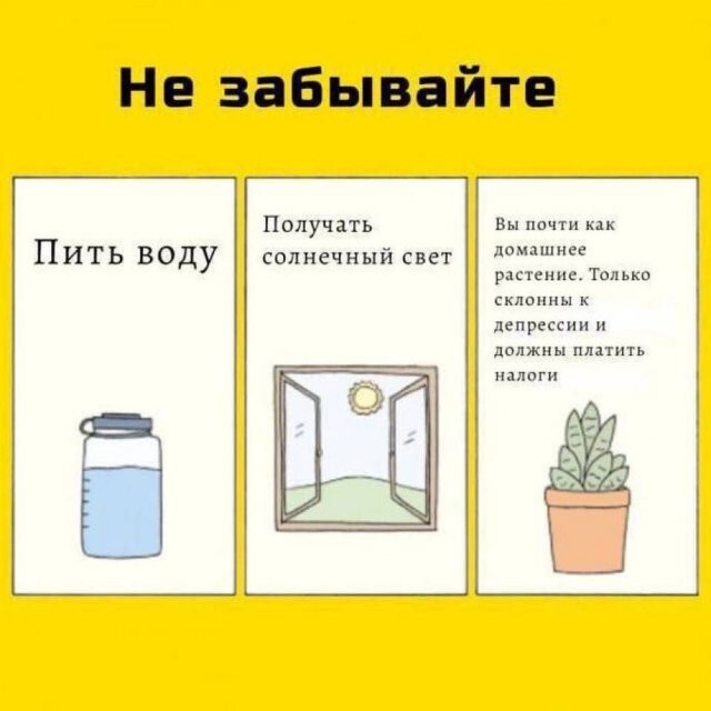 Скрины из соцсетей            