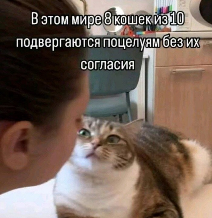 Скрины из соцсетей            