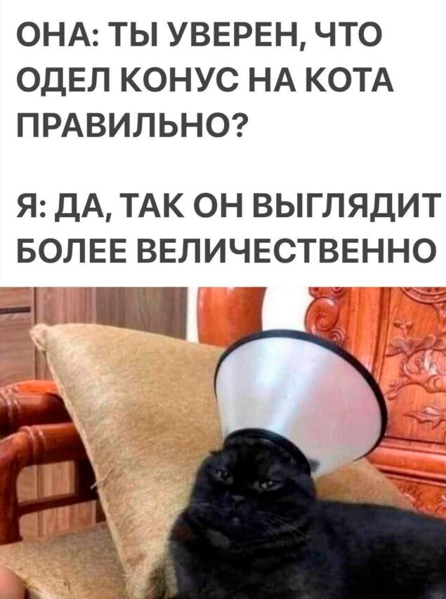 Скрины из соцсетей            