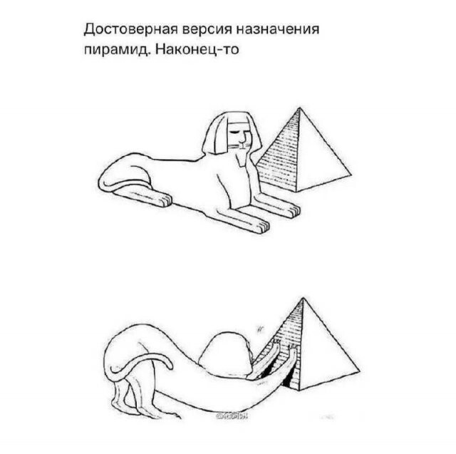 Скрины из соцсетей            
