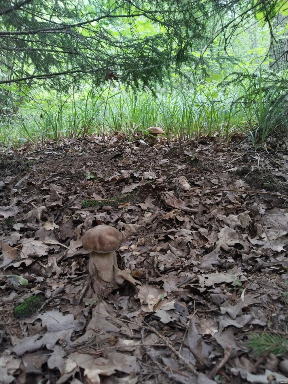 Чувашия, Марпосадский р-н