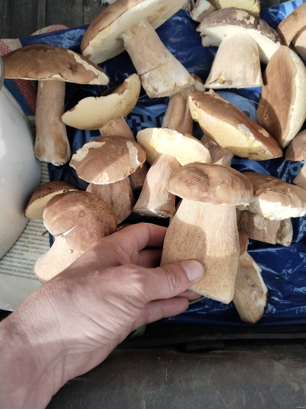 Чувашия, Марпосадский р-н