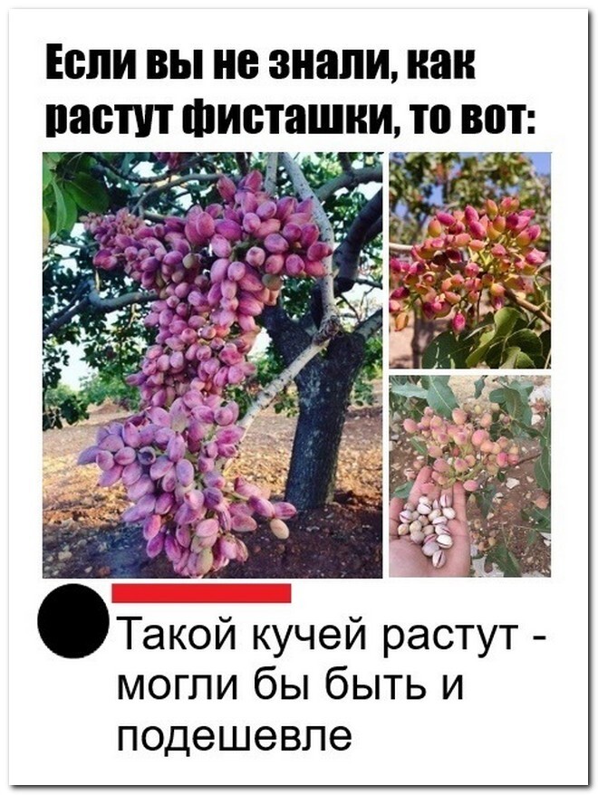 Не ищите здесь смысл. Здесь в основном маразм