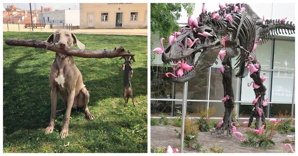 25 фотографий, вызывающих неподдельный восторг