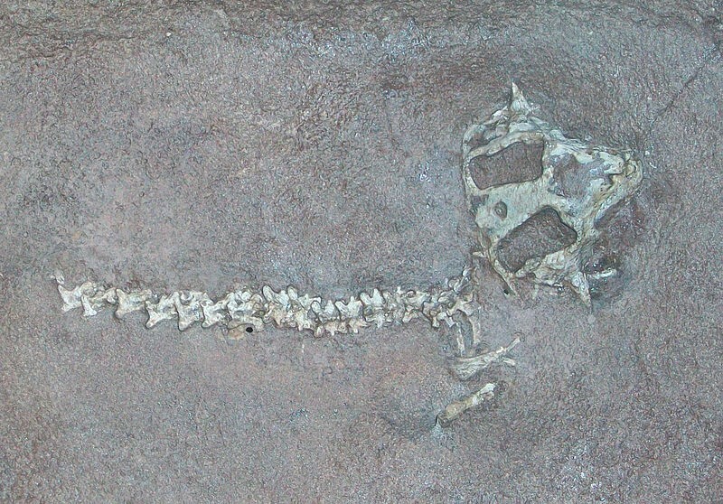 Необычное захоронение Джозефа Барратта – любителя динозавров и разнопланового умницы