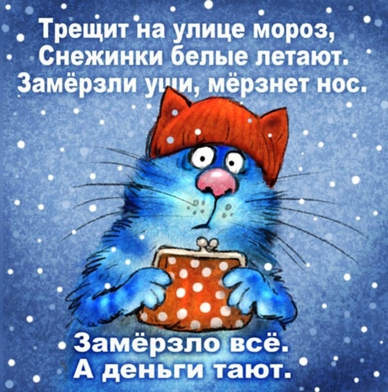 Коты минской художницы Ирины Зенюк