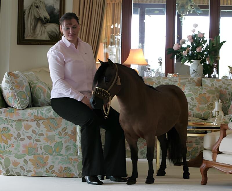Конь размером с собаку: порода крошечных, но стройных лошадок