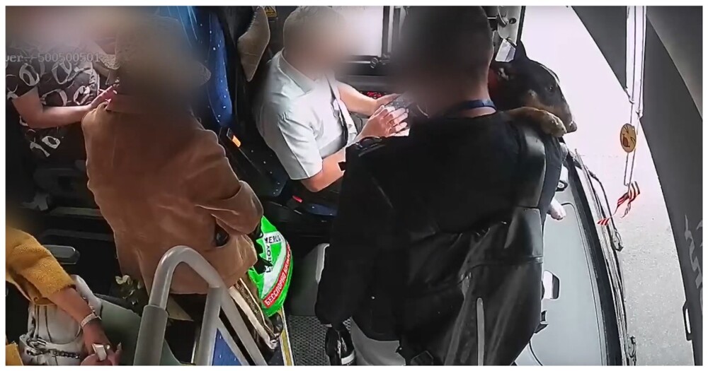 В Москве конфликт из-за собачьего намордника в автобусе закончился потасовкой