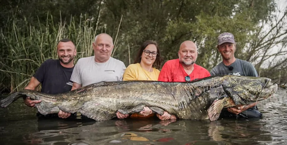 "Охотился на неё 33 года": мужчина поймал гигантскую рыбу длиной более двух метров
