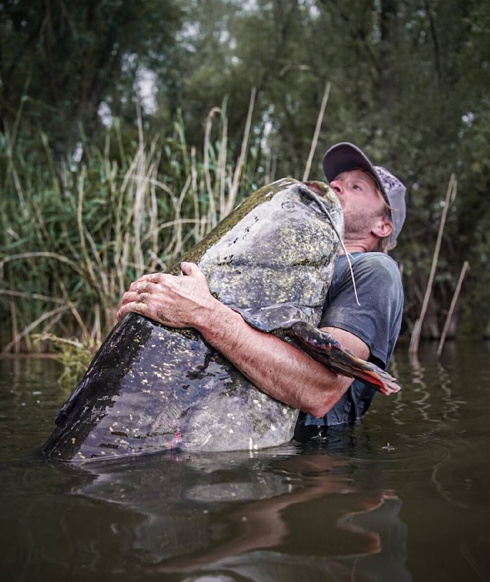 "Охотился на неё 33 года": мужчина поймал гигантскую рыбу длиной более двух метров