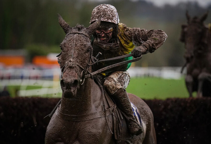 #17 Золото в конном спорте: "Великолепная грязь" Дэвида Дэвиса