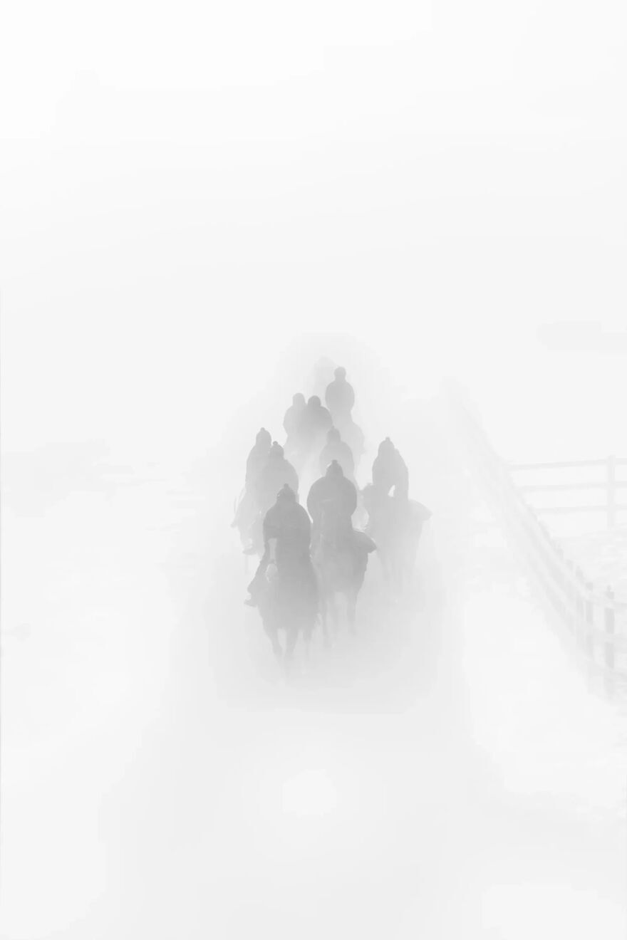 #2 Бронза в конном спорте: "Ледяной туман" Меган Дент