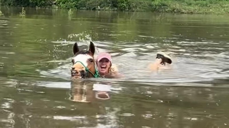 Продолжаем барражировать соцсети