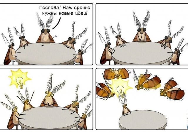 Скрины из соцсетей            