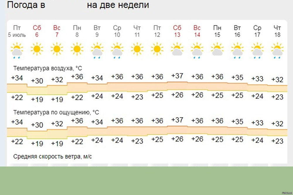 Солянка от 05.07.2024