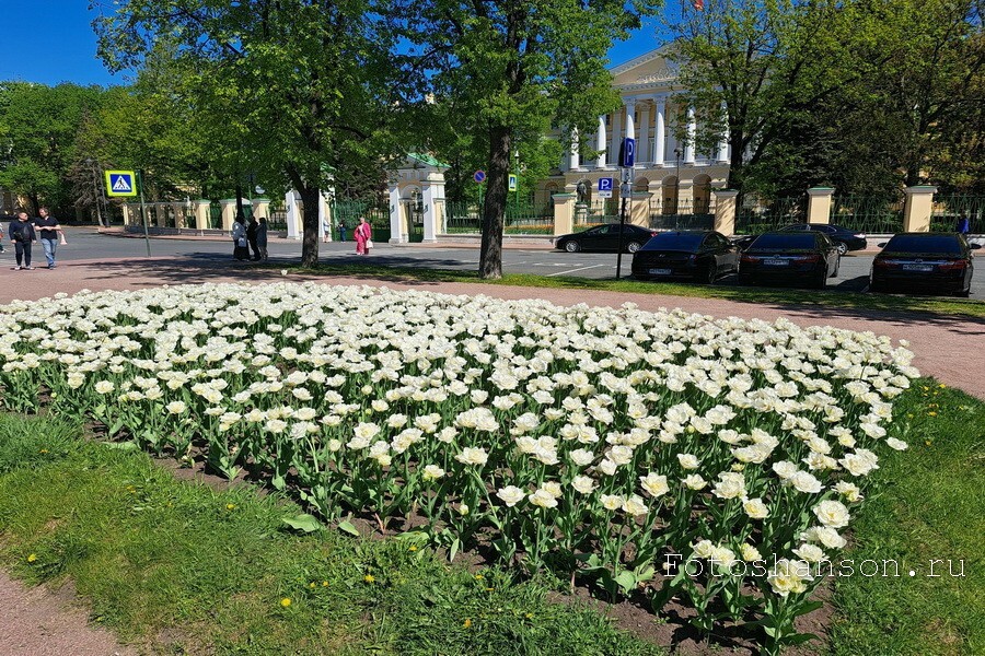 Бродя по Санкт-Петербургу