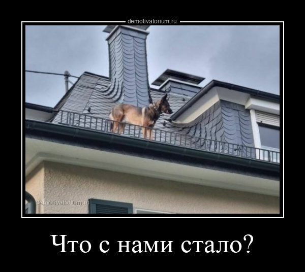 Что с нами стало?