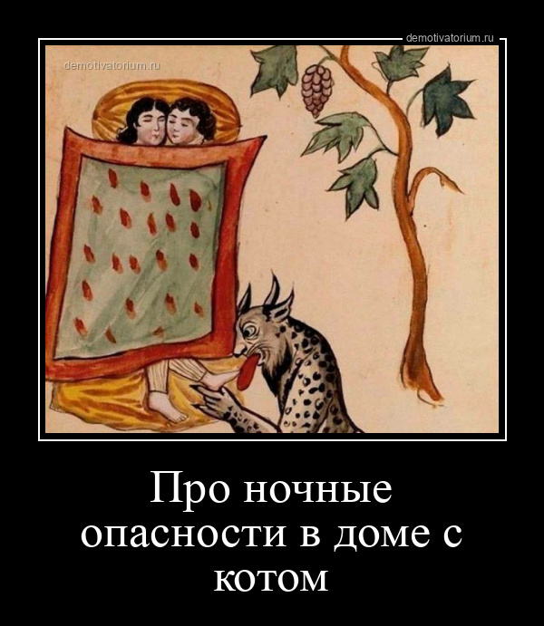 Про ночные опасности в доме с котом