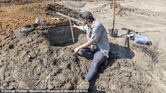 Гигантский скелет динозавра обнаружен в штате Миссисипи