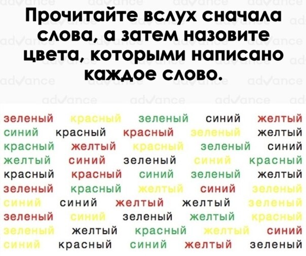 Сервис проката самокатов перед поездкой будет проверять когнитивные способности пользователей