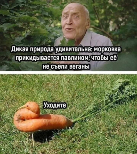 Улыбатор