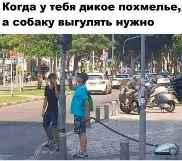 Скрины из соцсетей            