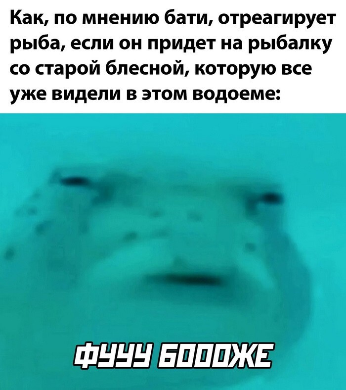 Скрины из соцсетей            