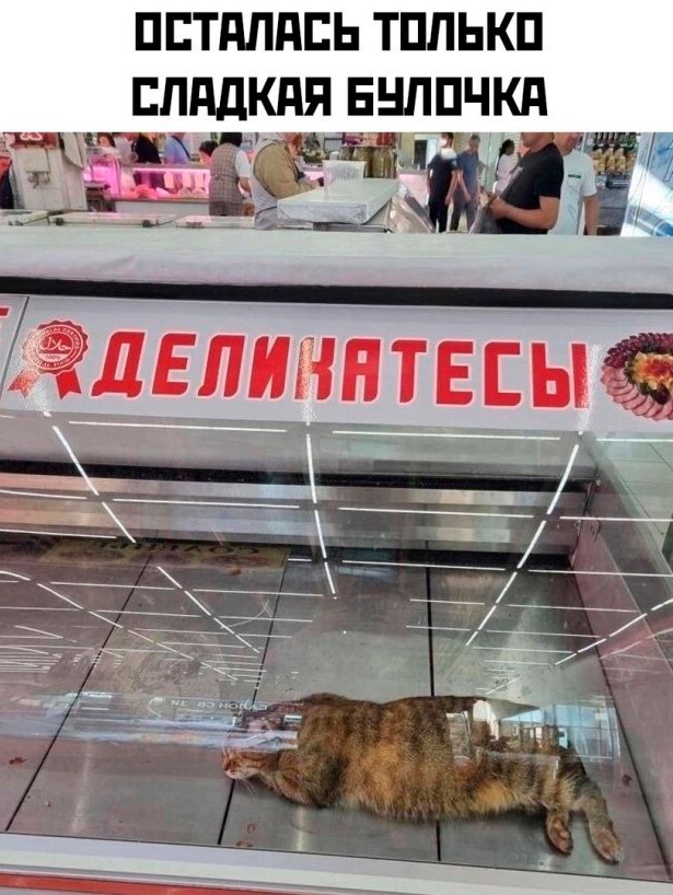 Скрины из соцсетей            