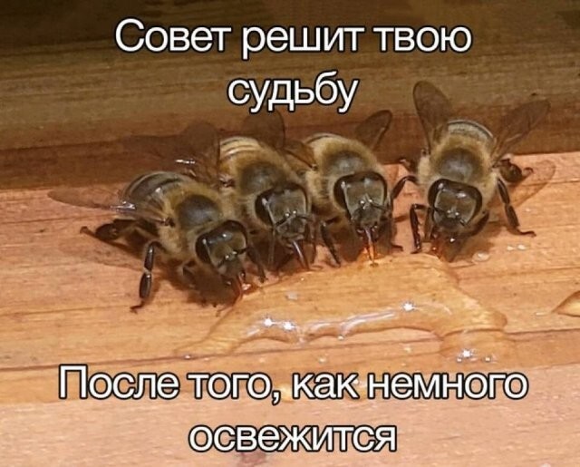 Скрины из соцсетей            