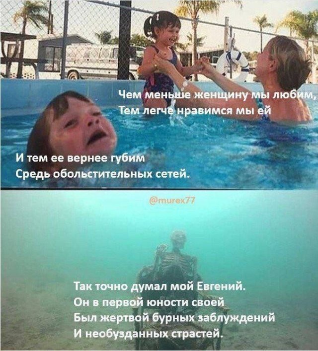 Скрины из соцсетей            