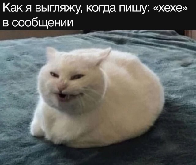 Скрины из соцсетей            