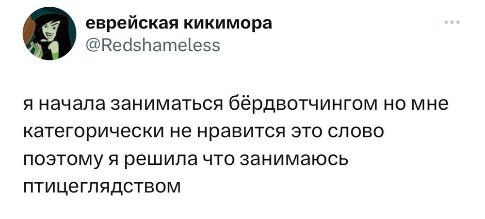 12. Птицеглядством как-то приятнее заниматься, чем бёрдвотчингом