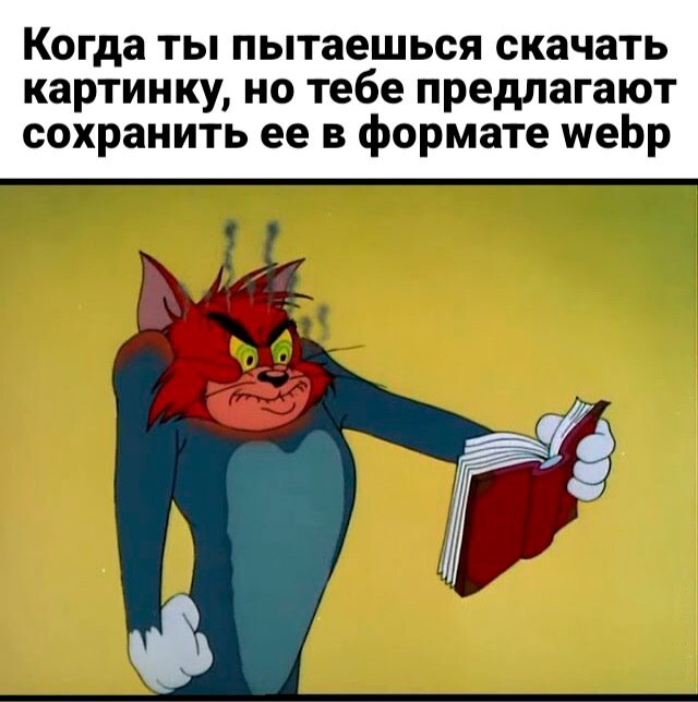 Скрины из соцсетей            