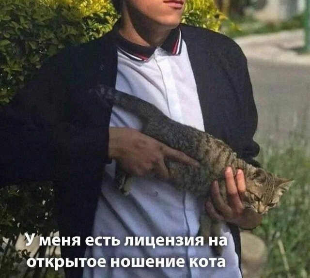 Скрины из соцсетей            