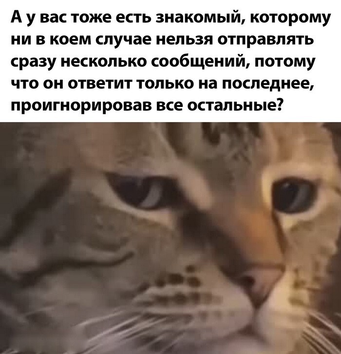 Скрины из соцсетей            