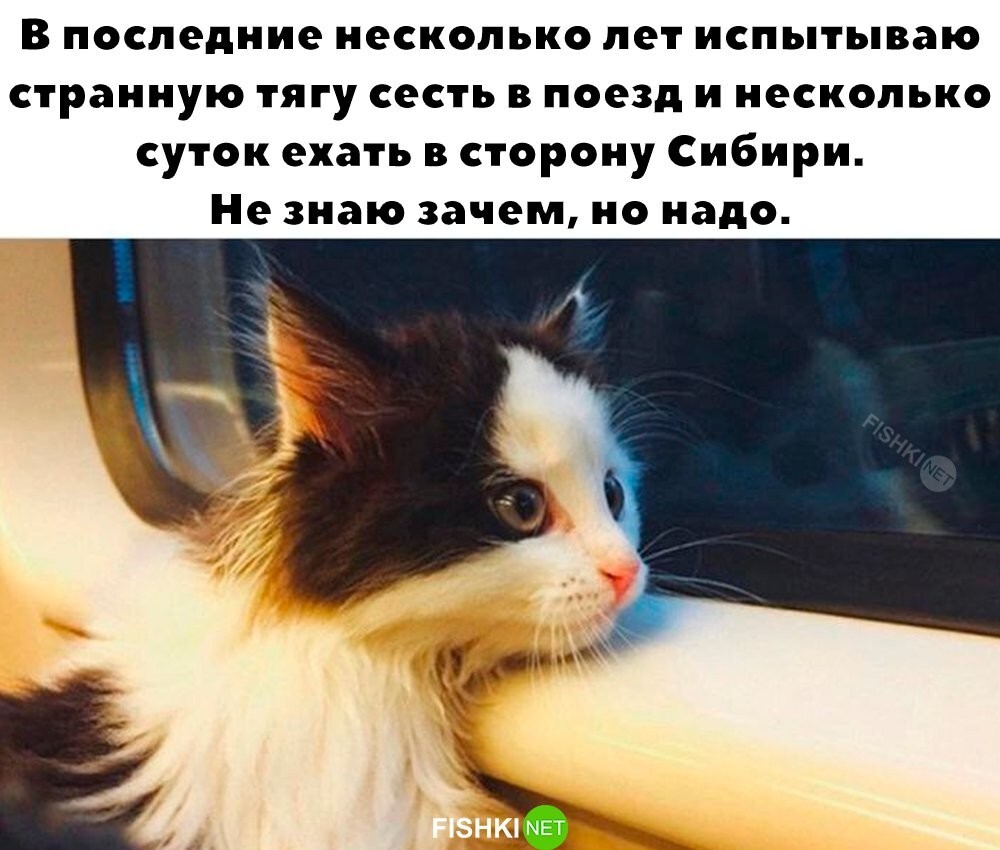 До слёз...