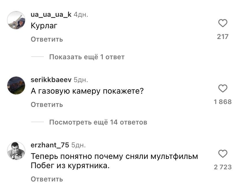 "Курятник строгого режима": в соцсетях удивляются оригинальному изобретению птичницы