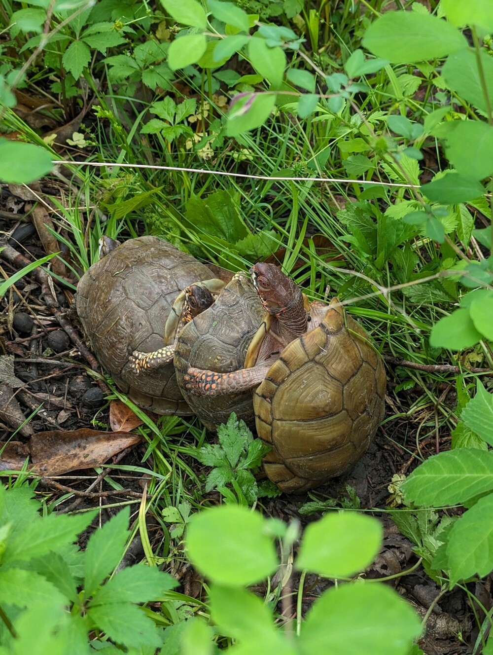 На общую тему 