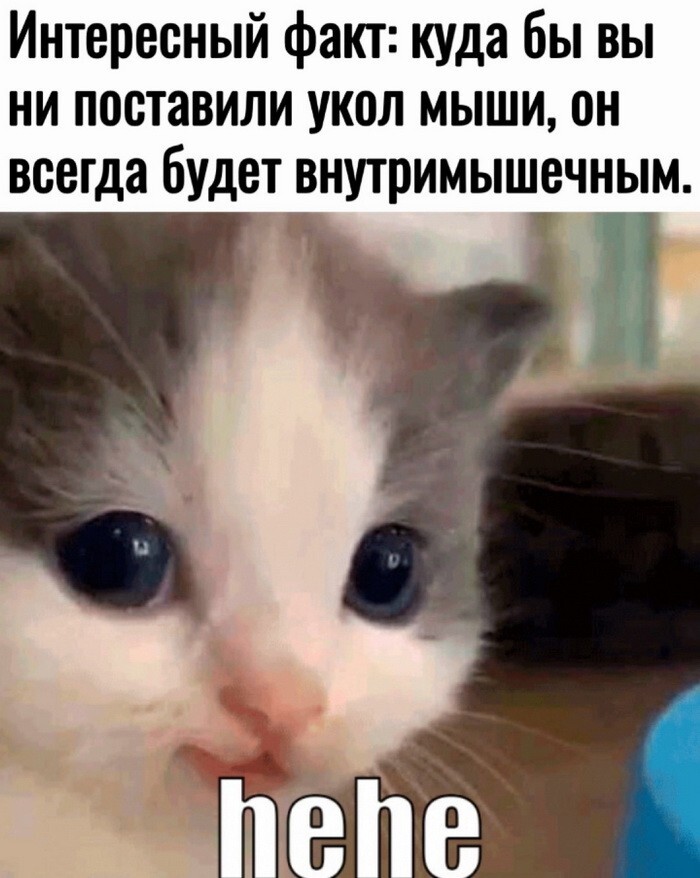 Скрины из соцсетей            