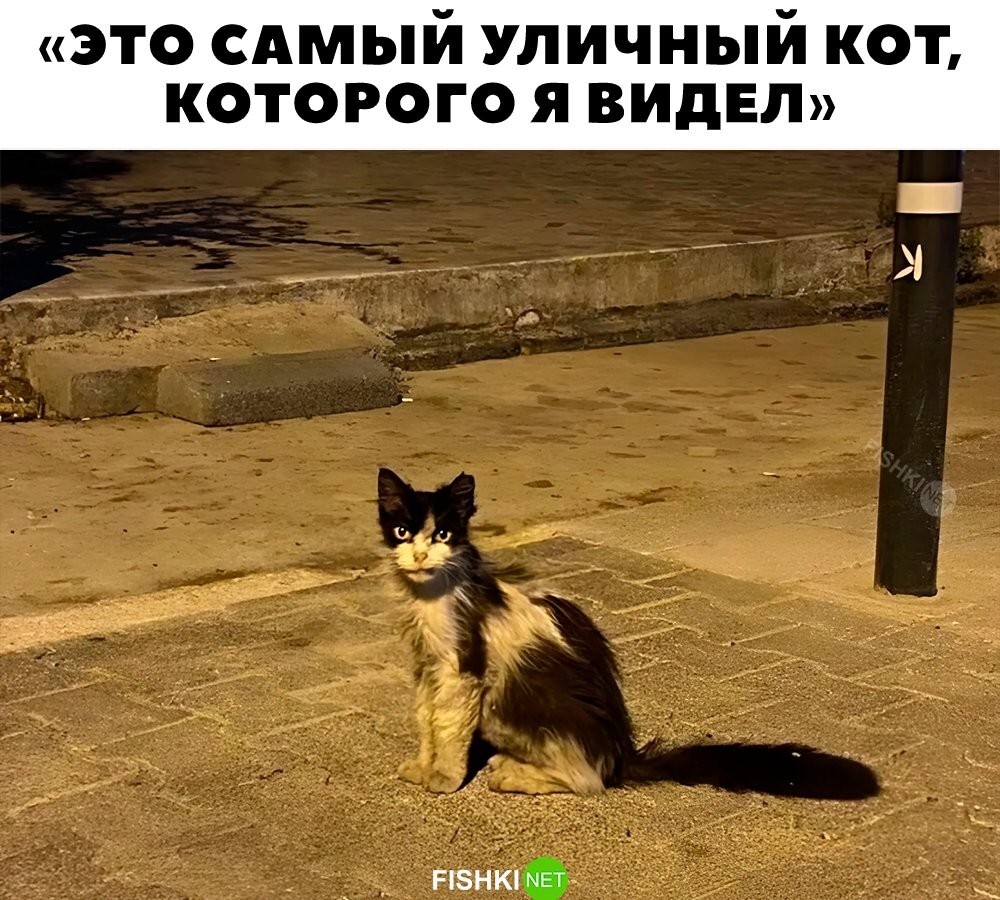 Жизнь помотала 