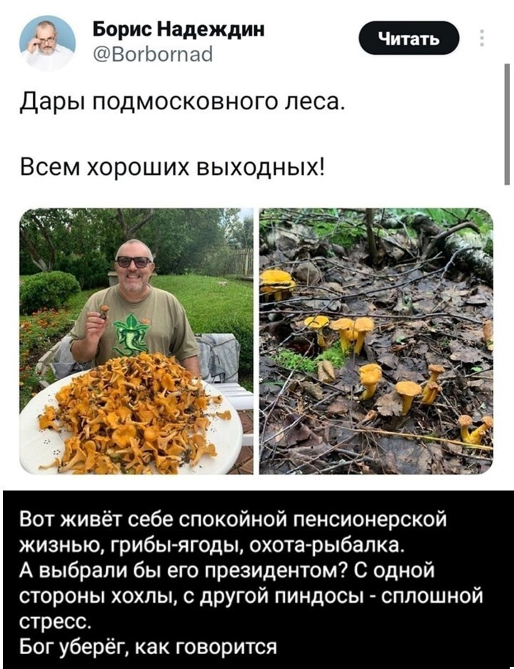 Политический мониторинг (397)