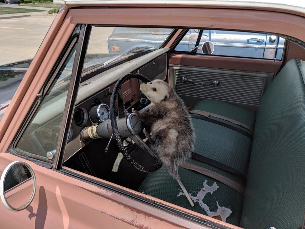 На общую тему 