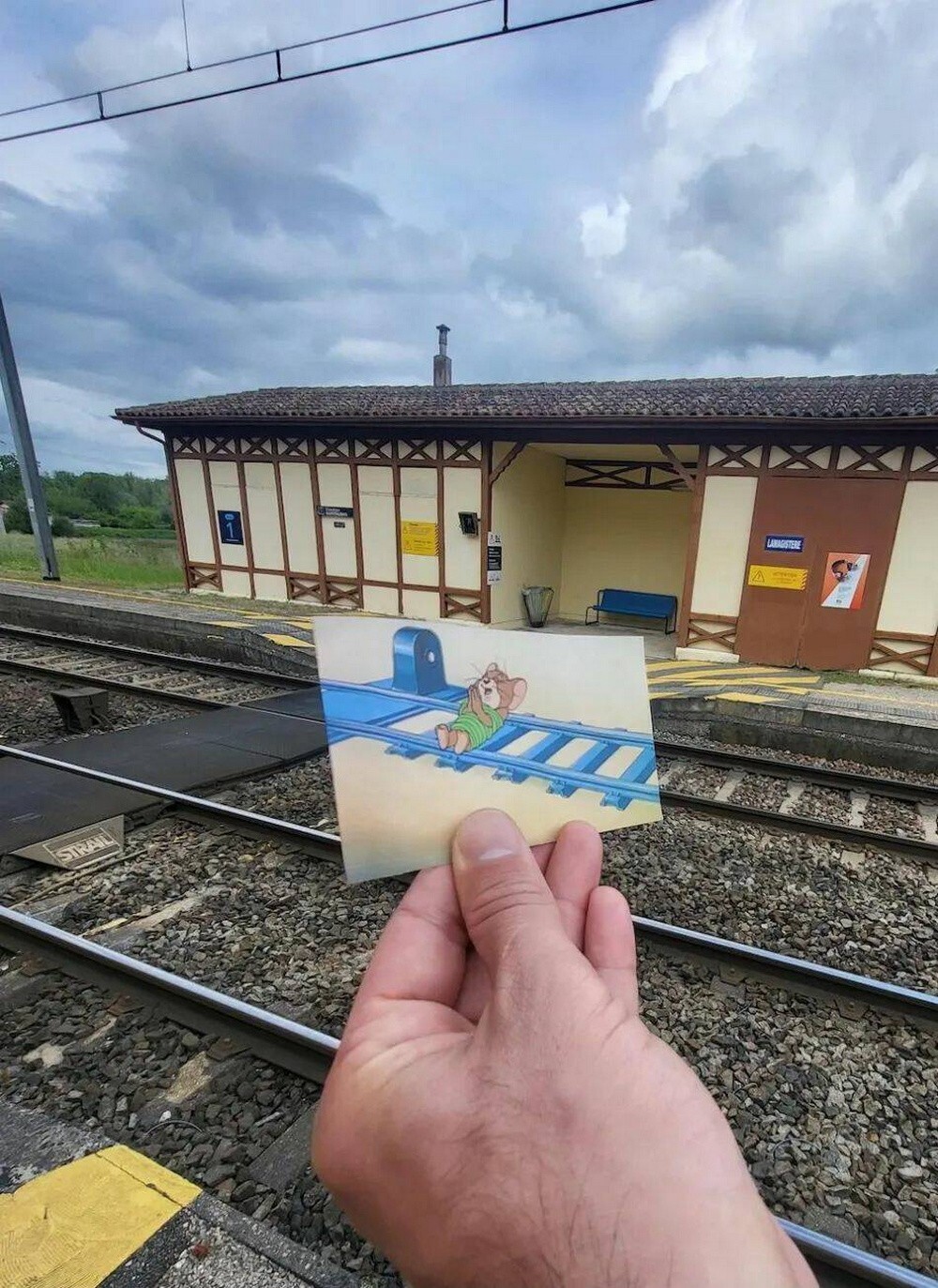 На общую тему 