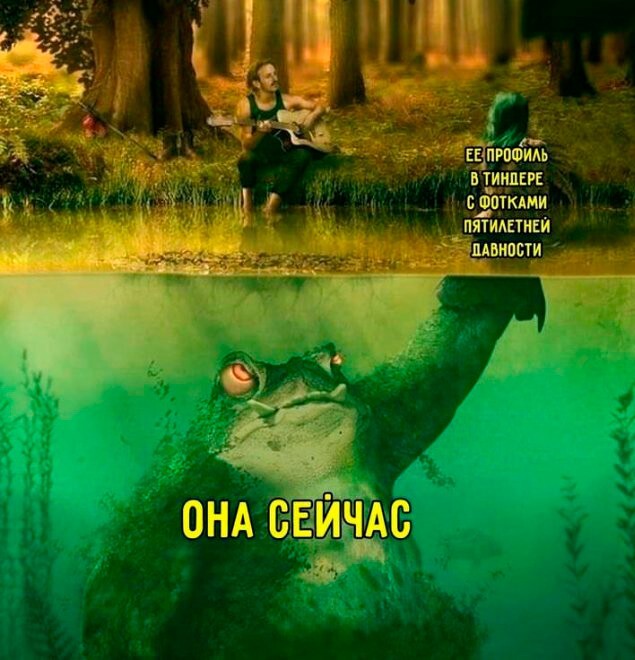 Скрины из соцсетей            