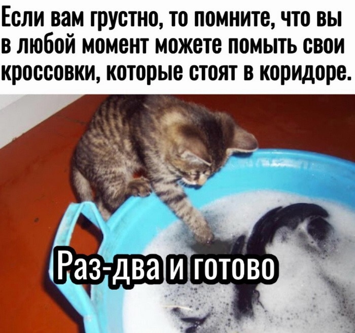 Скрины из соцсетей            